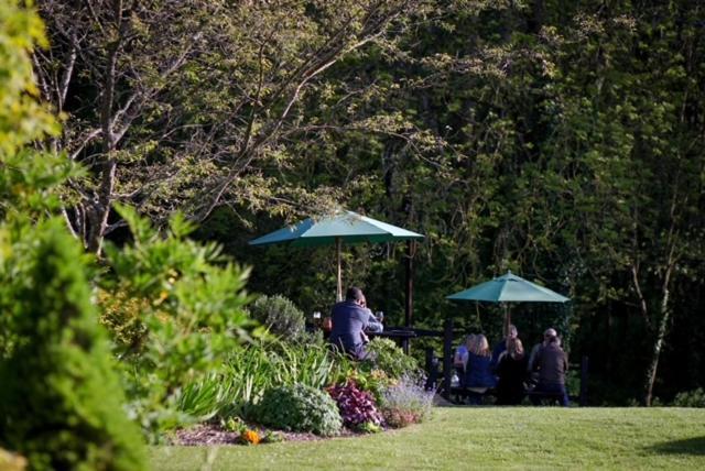 فندق The Cricketers Arms بيتورث المظهر الخارجي الصورة